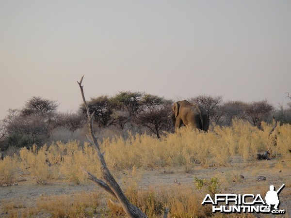 Namibia