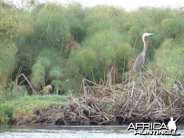 Caprivi Namibia