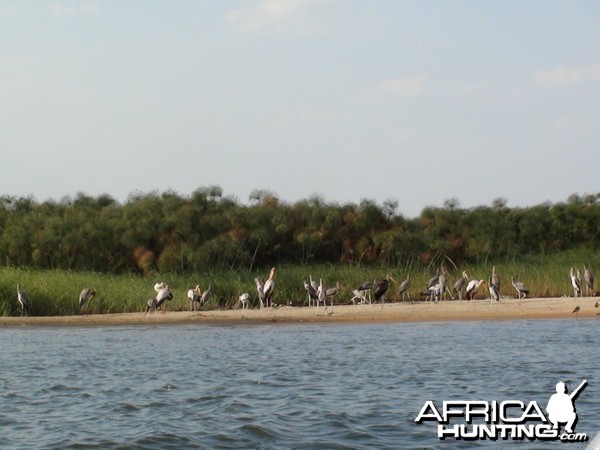 Caprivi Namibia