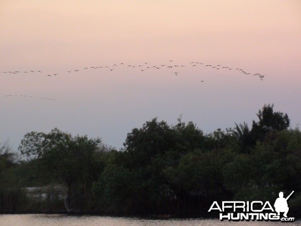 Sunset Caprivi Namibia