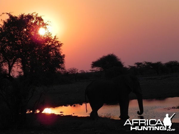 Sunset Etosha Namibia