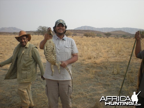 Monitor Lizard Namibia