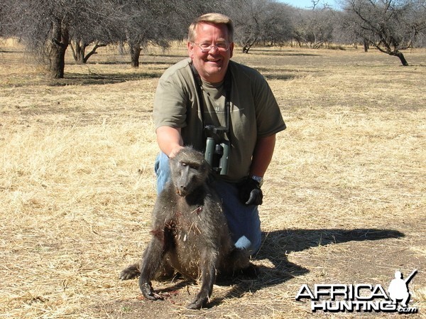 Hunting Chacma Baboon Namibia