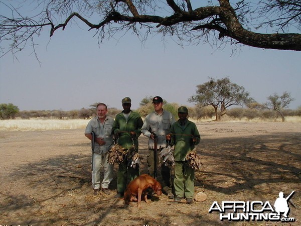 Bird Hunting Namibia Africa