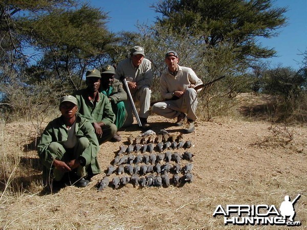 Bird Hunting Namibia Africa