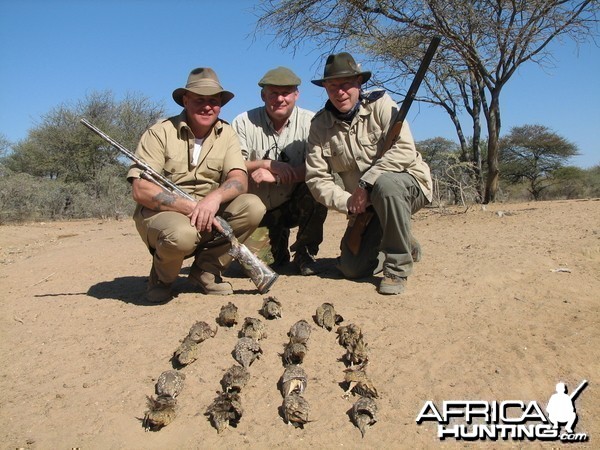 Bird Hunting Namibia Africa