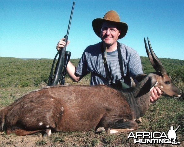 East Cape Bushbuck