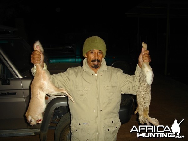 Hunting Springhare and Hare in Namibia