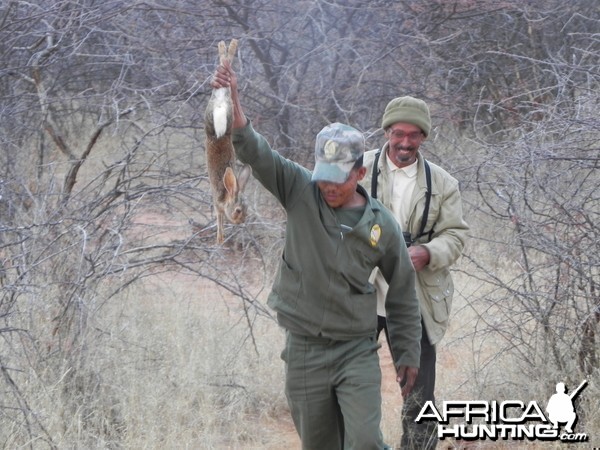 Hunting Hare in Namibia