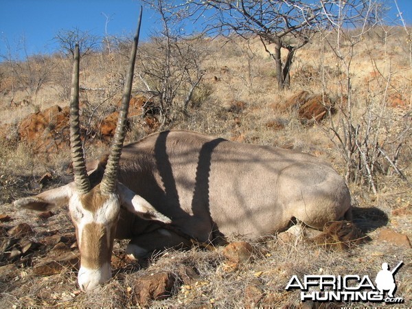Hunting Golden Oryx in Namibia