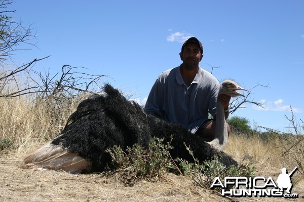 Hunting Ostrich in Namibia