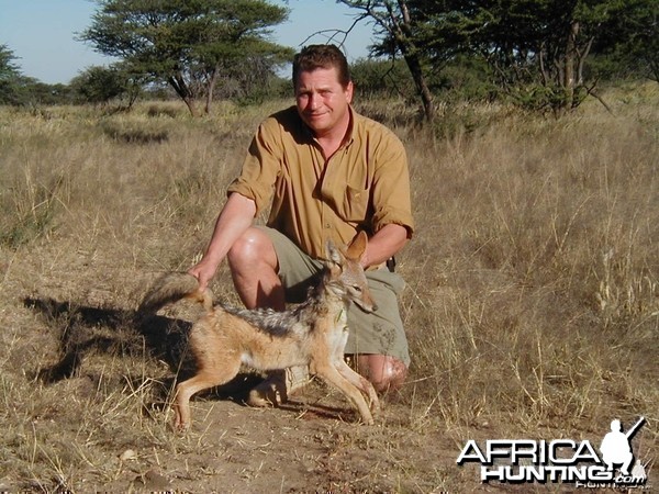 Hunting Black-backed Jackal in Namibia