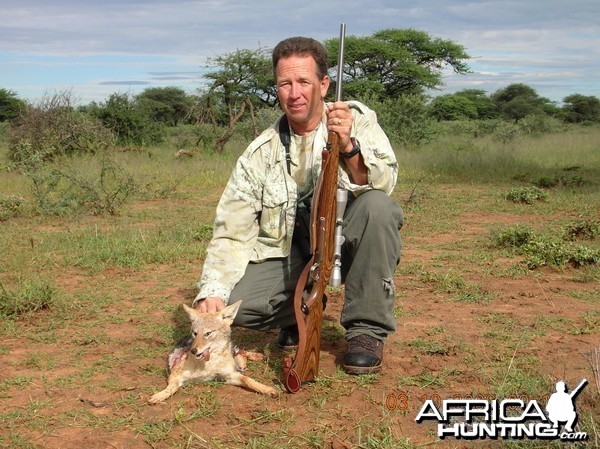 Hunting Black-backed Jackal in Namibia