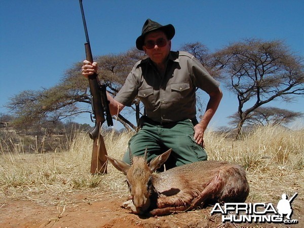 Hunting Damara Dik-Dik in Namibia