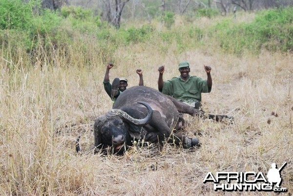 Hunting Buffalo with Pelandaba Safaris in Zimbabwe