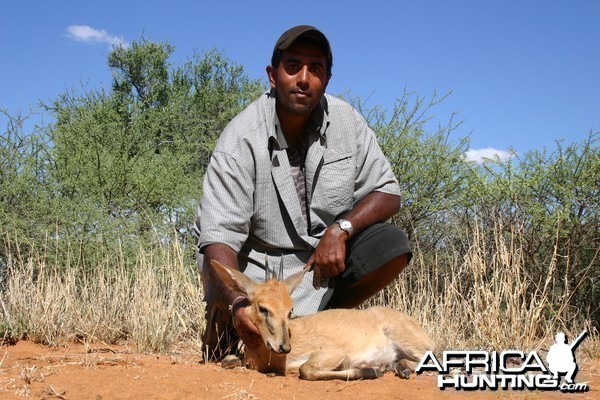 Hunting Duiker in Namibia