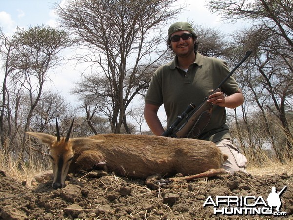 Hunting Duiker in Namibia