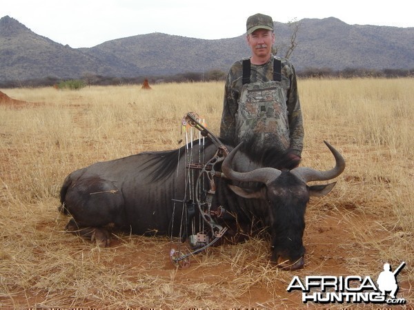 Bowhunting Blue Wildebeest in Namibia