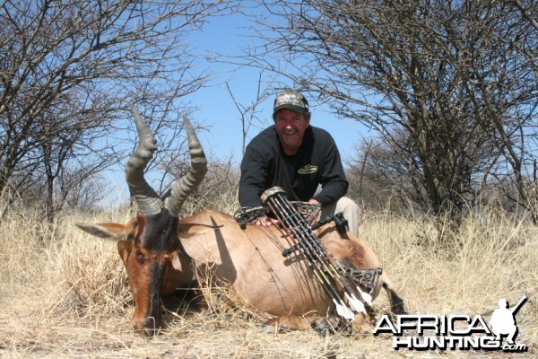 Bowhunting Hartebeest in Namibia