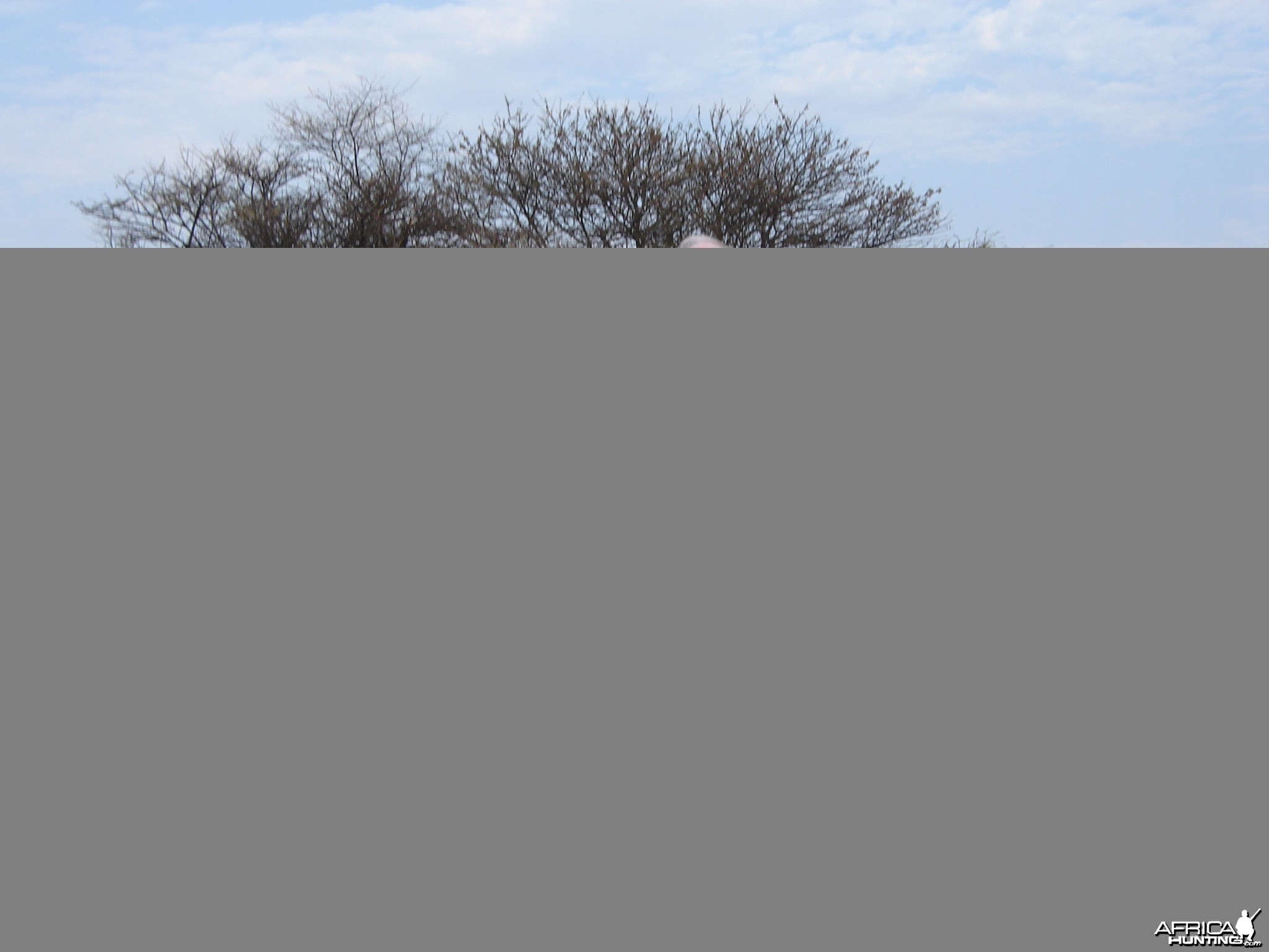 Bowhunting Impala in Namibia