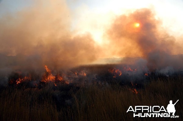 Zambia Bush Fire