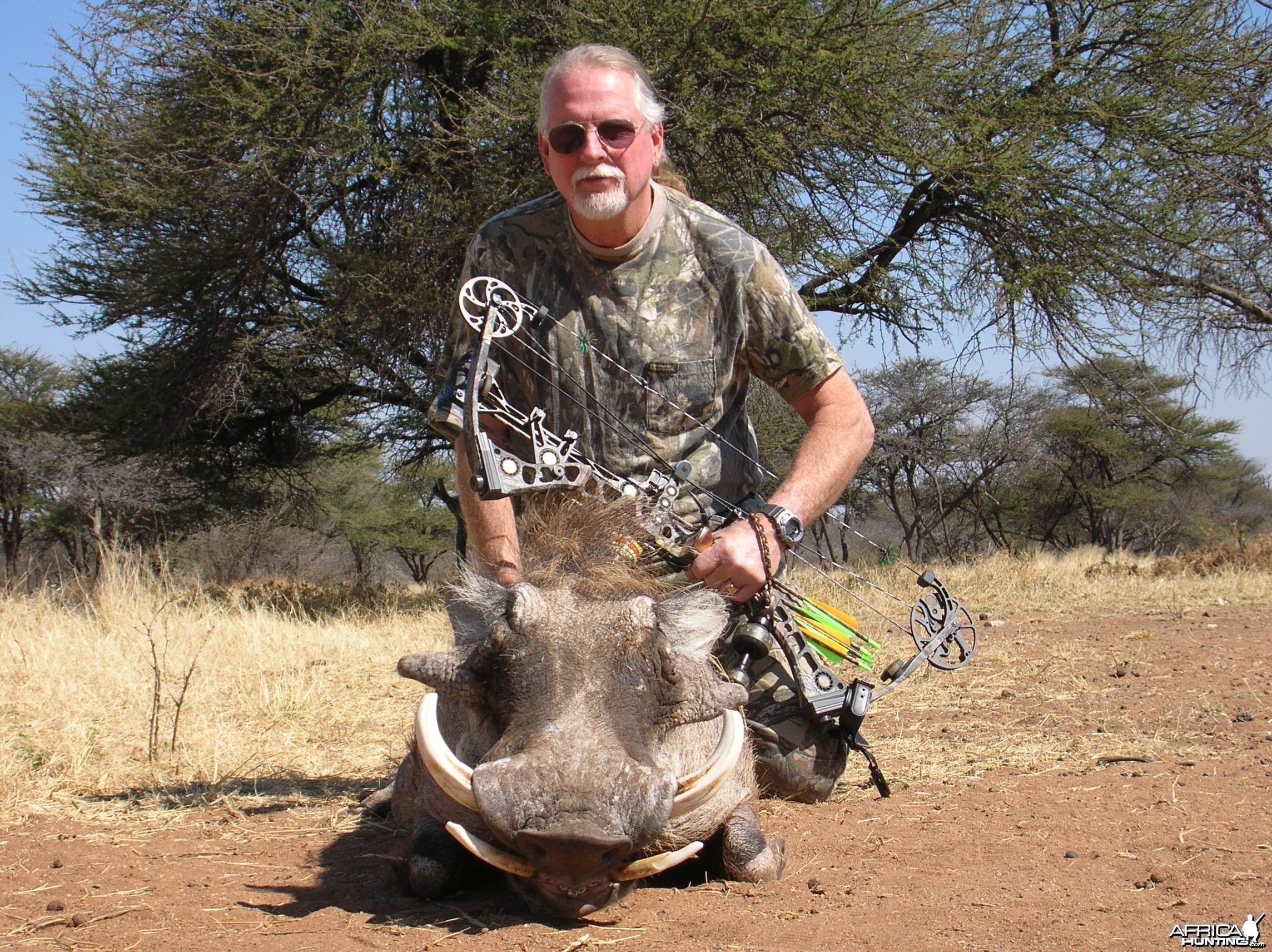Bowhunting Warthog in Namibia