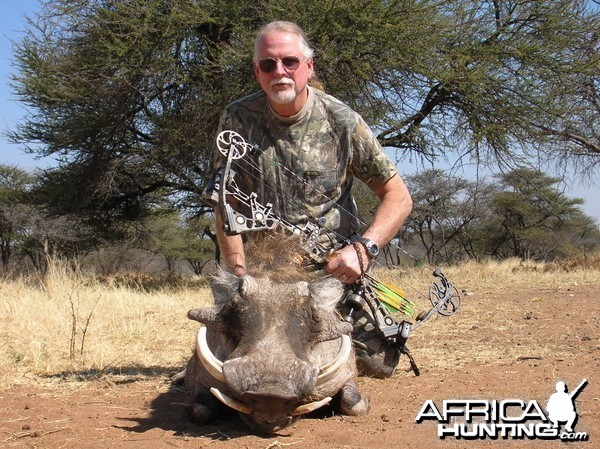 Bowhunting Warthog in Namibia