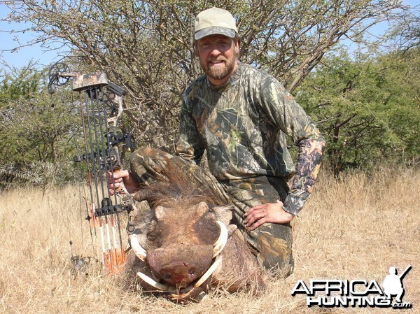 Bowhunting Warthog in Namibia