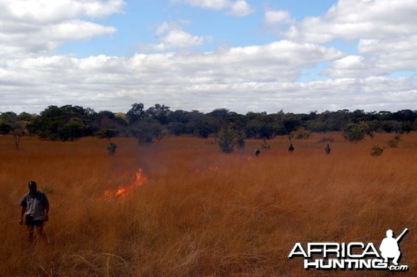 Zambia Bush Fire