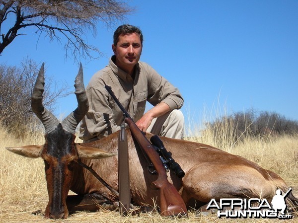 Hunting Red Hartebeest in Namibia