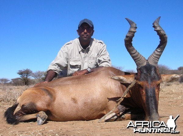 Hunting Red Hartebeest in Namibia