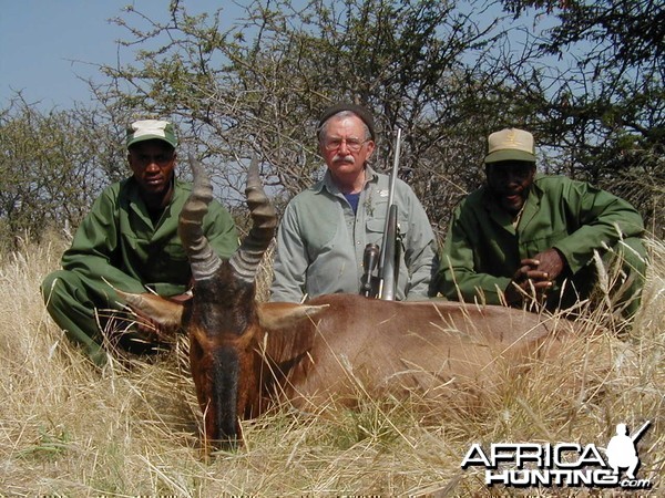 Hunting Red Hartebeest in Namibia