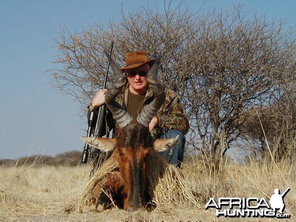 Hunting Red Hartebeest in Namibia