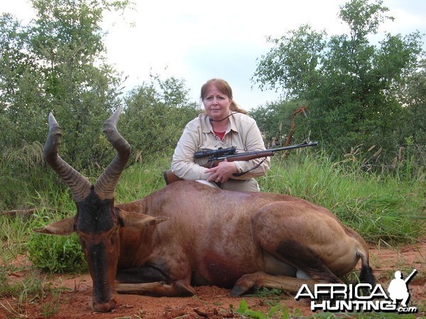 Hunting Red Hartebeest in Namibia