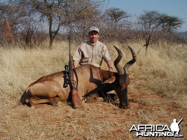 Hunting Red Hartebeest in Namibia