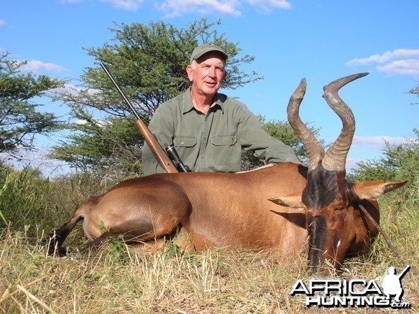 Hunting Red Hartebeest in Namibia