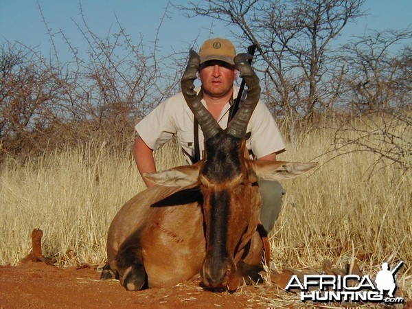 Hunting Red Hartebeest in Namibia