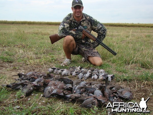 Bird Hunting South Africa