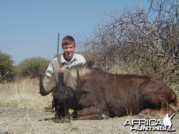 Hunting Black Wildebeest in Namibia