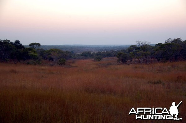 Hunting Zambia