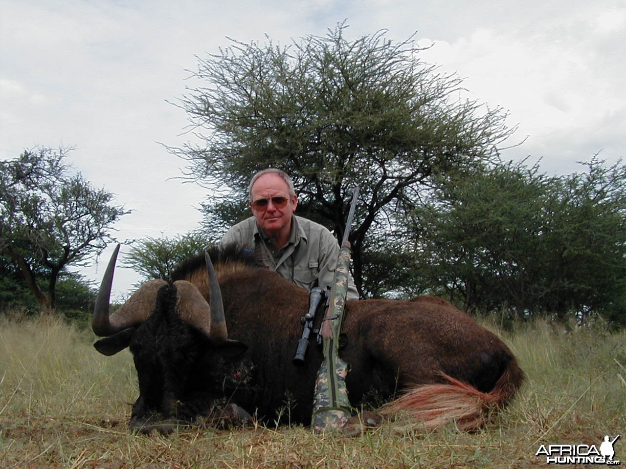 Hunting Black Wildebeest in Namibia