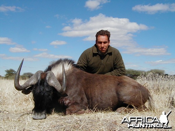 Hunting Black Wildebeest in Namibia