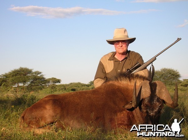 Hunting Black Wildebeest in Namibia