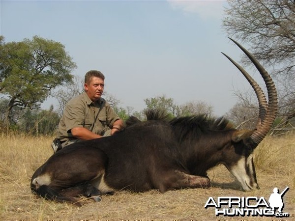 Sable - Matetsi Zimbabwe