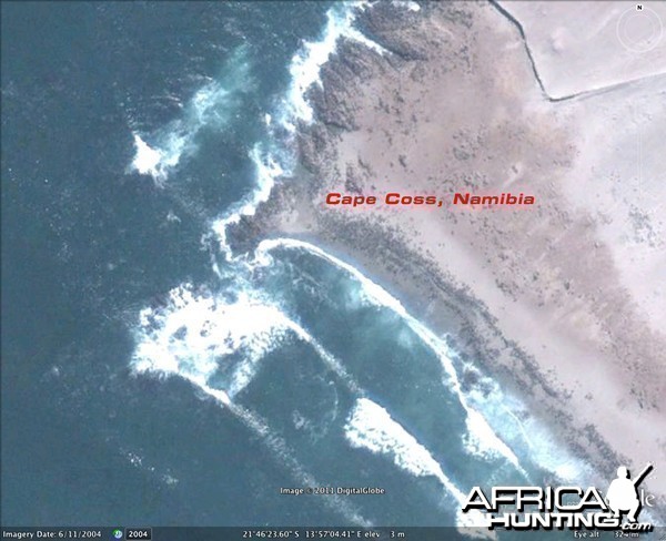 Google Earth Satellite Imagery of Cape Cross in Namibia