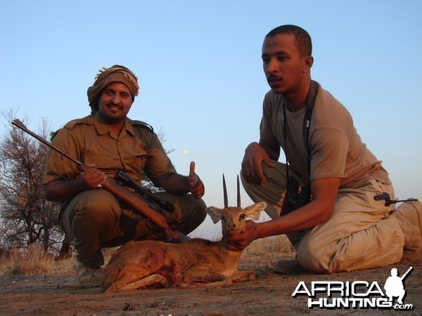 Hunting Steenbok in Namibia