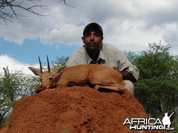 Hunting Steenbok in Namibia