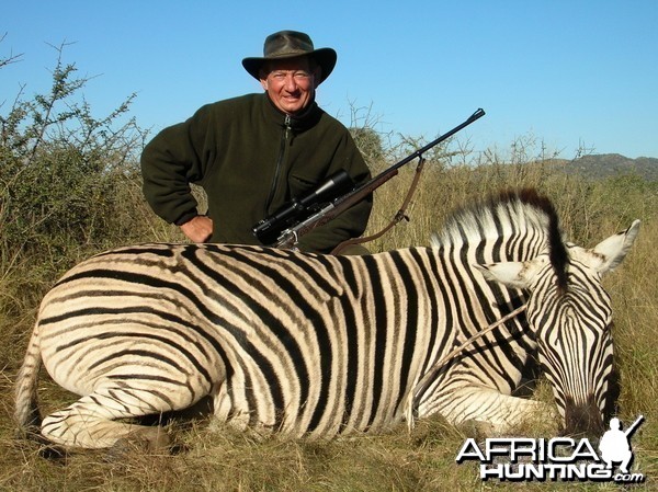 Hunting Burchell's Plain Zebra in Namibia