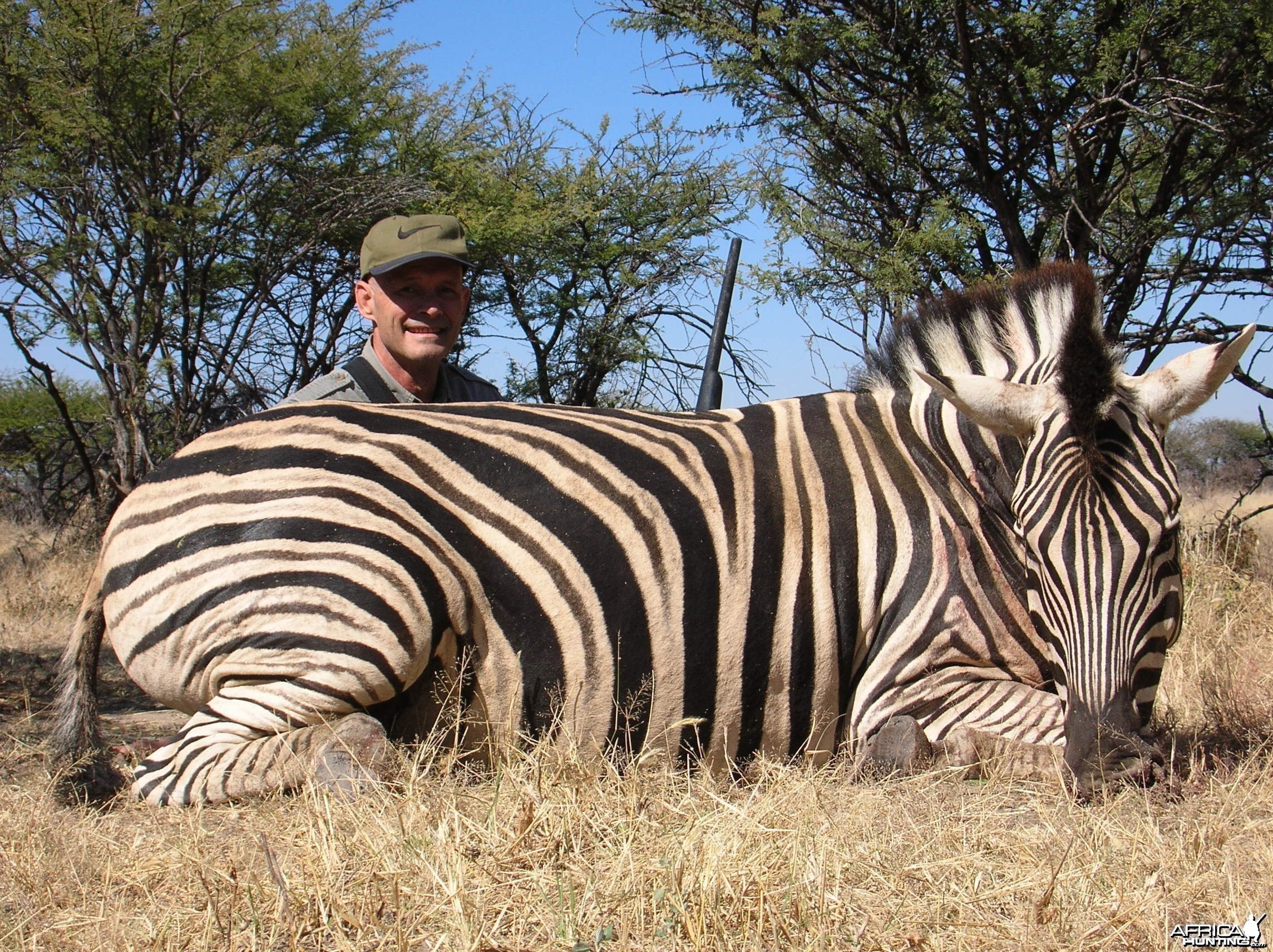 Hunting Burchell's Plain Zebra in Namibia