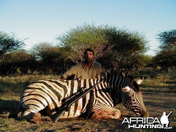 Hunting Burchell's Plain Zebra in Namibia